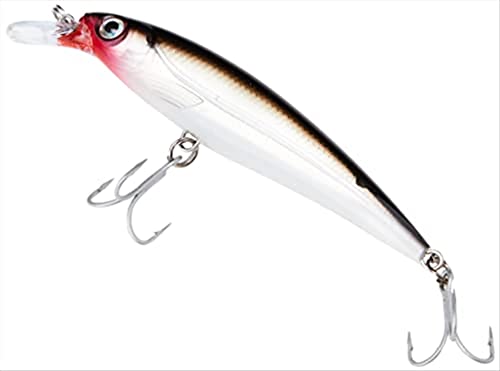 Rapala - X-Rap Saltwater Angelköder - Angelzubehör für große Raubfische - Salzwasser-Köder für alle Fischarten - Lauftiefe 1.2-1.8m - Fischköder 10cm, 13g - Hergestellt in Estland - Silver Rapala - X-Rap Saltwater Angelköder - Angelzubehör für große Raubfische - Salzwasser-Köder für alle Fischarten - Lauftiefe 1.2-1.8m - Fischköder 10cm, 13g - Hergestellt in Estland - Silver von Rapala