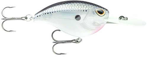 Storm Arashi Flat 07 Black Silver Shad Storm Arashi Flat 07 Black Silver Shad von Storm