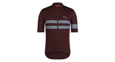 kurzarm trikot rapha brevet jersey braun silber herren kurzarm trikot rapha brevet jersey braun silber herren von Rapha