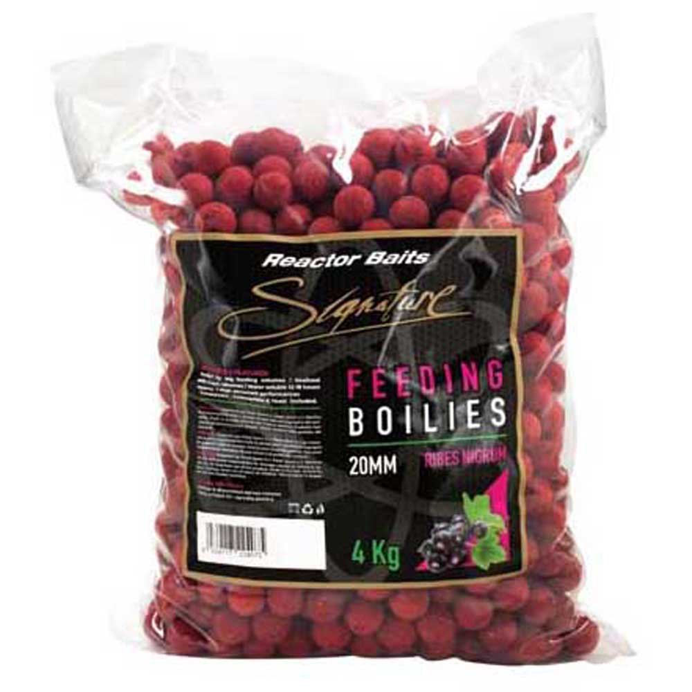 Reactor Baits Signature Feed Ribes Nigrum Boilie 4kg Mehrfarbig 20 mm von Reactor Baits