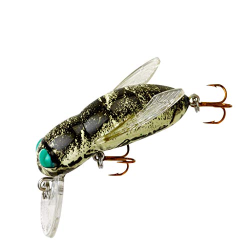 Rebel Lures Bumble Bug Topwater/Crankbait Angelköder, 1 1/2 Zoll, 7/70 Unzen, Pferdefliege Rebel Lures Bumble Bug Topwater/Crankbait Angelköder, 1 1/2 Zoll, 7/70 Unzen, Pferdefliege von Rebel