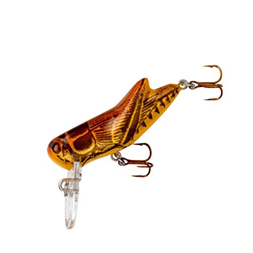 Rebel Lures Crickhopper Angelköder, Braunes Cricket, 1 1/2-Inch Rebel Lures Crickhopper Angelköder, Braunes Cricket, 1 1/2-Inch von Rebel