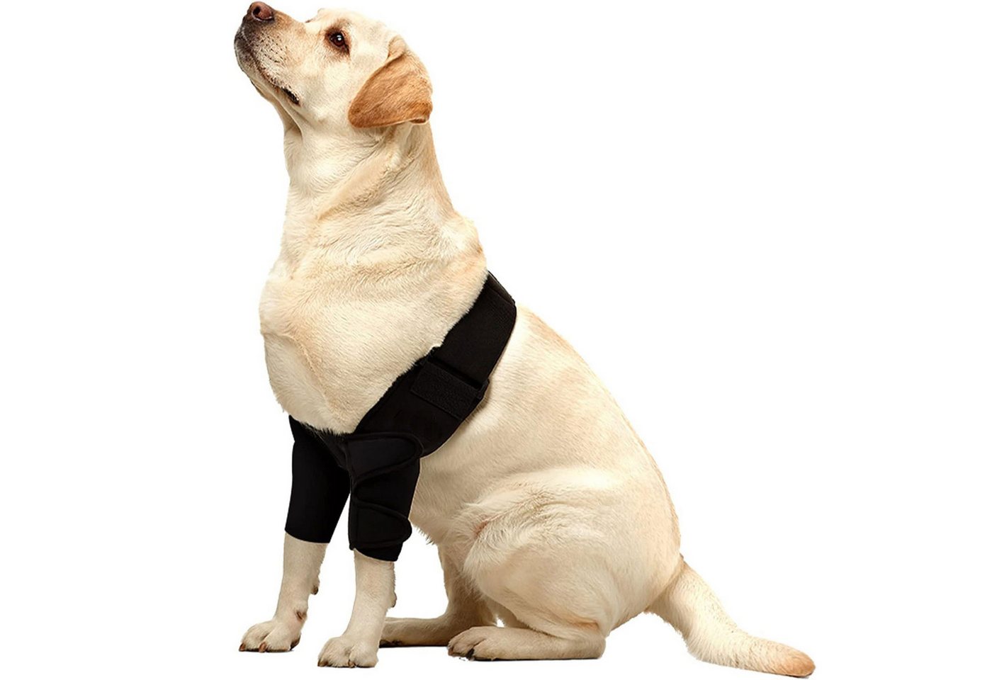 Refttenw Knieschutz Verletzungshilfe für das Vorderbein des Hundes, elastisch von Refttenw