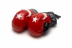 Reppa Mini Boxhandschuhe - Türkei Reppa Mini Boxhandschuhe - Türkei von Reppa
