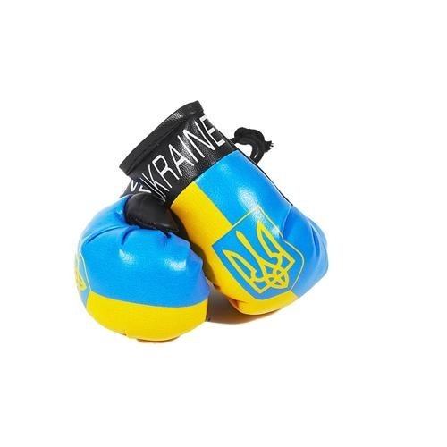 Reppa Mini Boxhandschuhe Ukraine Tri Reppa Mini Boxhandschuhe Ukraine Tri von Reppa