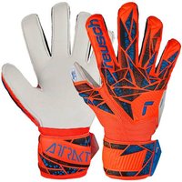 REUSCH Kinder Torwarthandschuhe Attrakt Solid Finger Support Junior von Reusch