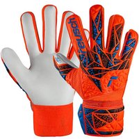 REUSCH Kinder Torwarthandschuhe Attrakt Starter Solid Finger Support Junior REUSCH Kinder Torwarthandschuhe Attrakt Starter Solid Finger Support Junior von Reusch