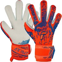 REUSCH Torwarthandschuhe Attrakt Freegel Silver REUSCH Torwarthandschuhe Attrakt Freegel Silver von Reusch