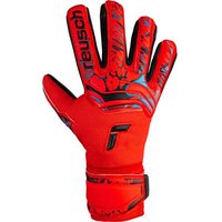 REUSCH Torwarthandschuhe Attrakt Grip Evolution Finger Support von Reusch