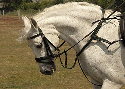 Rhinegold 0 5-Point Breastplate-Pony-Black Vorderzeug, Schwarz Rhinegold 0 5-Point Breastplate-Pony-Black Vorderzeug, Schwarz von Rhinegold