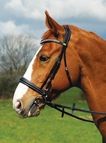 Rhinegold 0 Anatomic Cavesson Bridle with Reins-Extra Full-Havana Trense, Kaltblut/Warmblut extragroß von Rhinegold