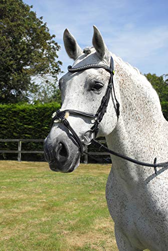 Rhinegold 0 Anatomic Mexican Bridle-Extra Full-Black Trense, Schwarz, Kaltblut/Warmblut extragroß von Rhinegold