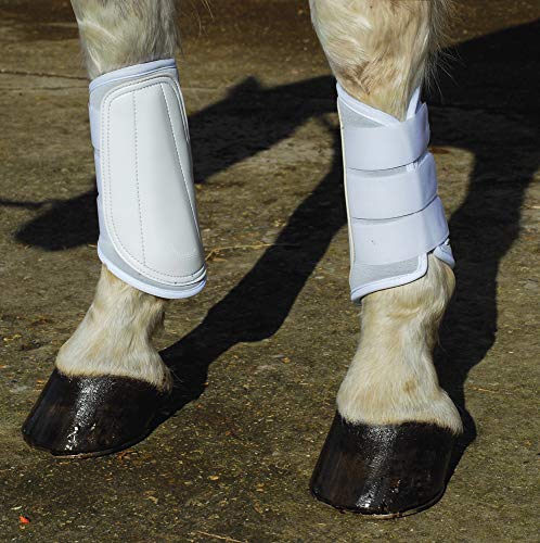 Rhinegold 0 Breathable Neoprene Brushing Boots-Cob-White Bürstenstiefel, weiß Rhinegold 0 Breathable Neoprene Brushing Boots-Cob-White Bürstenstiefel, weiß von Rhinegold