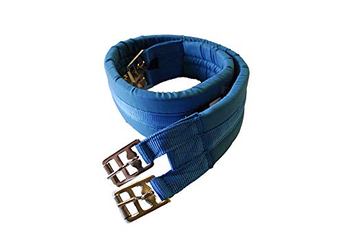 Rhinegold 0 Cotton Padded Girth-46-Turquoise Gurt, türkis, 117 cm Rhinegold 0 Cotton Padded Girth-46-Turquoise Gurt, türkis, 117 cm von Rhinegold