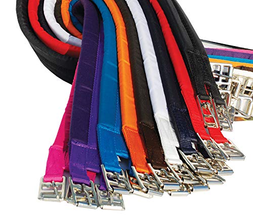 Rhinegold 0 Cotton Padded Girth-56-Turquoise Gurt, türkis, 142,24 cm Rhinegold 0 Cotton Padded Girth-56-Turquoise Gurt, türkis, 142,24 cm von Rhinegold