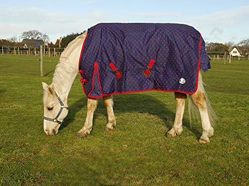 Rhinegold 0 Dottie Torrent Outdoor Rug-Lightweight No Fill Outdoorteppich, Navy/Red Spot, 1,9 m Rhinegold 0 Dottie Torrent Outdoor Rug-Lightweight No Fill Outdoorteppich, Navy/Red Spot, 1,9 m von Rhinegold