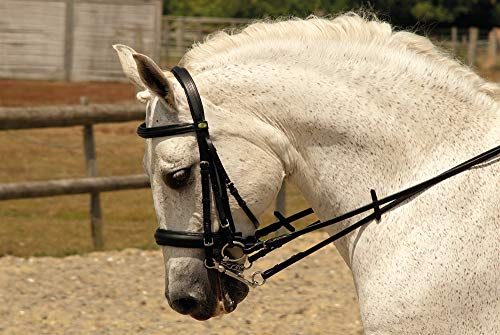 Rhinegold 0 Double Comfort Bridle-Full-Havana Trense, Volle Größe Rhinegold 0 Double Comfort Bridle-Full-Havana Trense, Volle Größe von Rhinegold