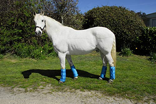 Rhinegold 0 Elite Half Length Travel Boots-Cob-Turquoise Reisestiefel, türkis Rhinegold 0 Elite Half Length Travel Boots-Cob-Turquoise Reisestiefel, türkis von Rhinegold