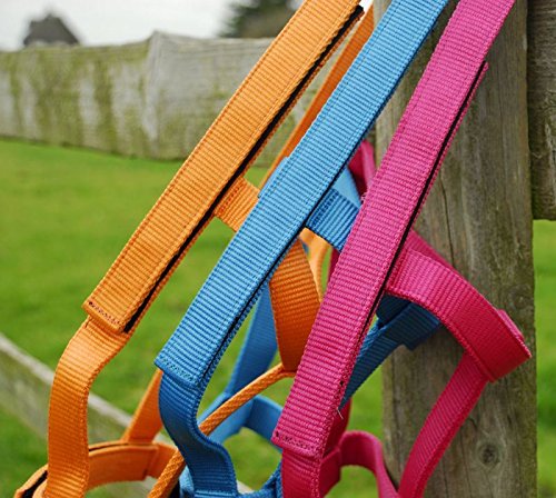 Rhinegold 0 Field Safe Headcollar-Cob-Raspberry Halfter, Himbeere Rhinegold 0 Field Safe Headcollar-Cob-Raspberry Halfter, Himbeere von Rhinegold