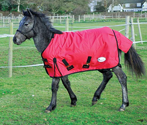 Rhinegold 0 Foal Konig Outdoor Rug-Mediumweight 200gsm Polyfill Outdoorteppich, rot, 3'9" von Rhinegold