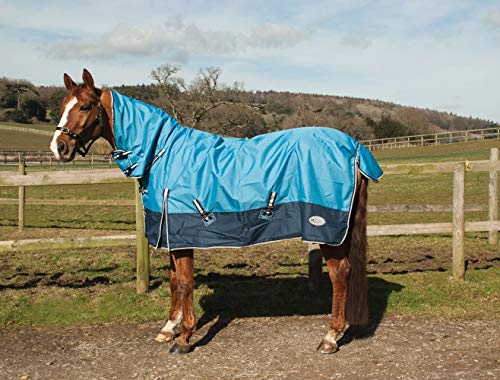 Rhinegold 0 Full Neck Torrent-6/0-Sky/Navy Outdoorteppich, Sky/Navy, 15 cm Rhinegold 0 Full Neck Torrent-6/0-Sky/Navy Outdoorteppich, Sky/Navy, 15 cm von Rhinegold