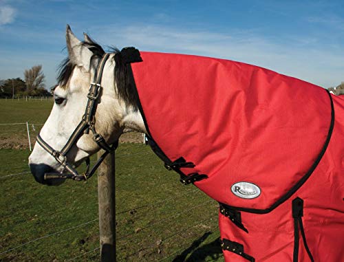 Rhinegold 0 Konig Neck Cover-Medium-Red Nackenschutz, rot, m Rhinegold 0 Konig Neck Cover-Medium-Red Nackenschutz, rot, m von Rhinegold