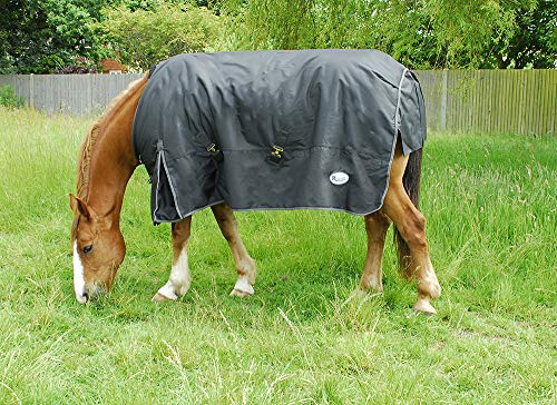 Rhinegold 0 Konig Outdoor Rug-6/9-Black Outdoorteppich, Schwarz, 2,1 m Rhinegold 0 Konig Outdoor Rug-6/9-Black Outdoorteppich, Schwarz, 2,1 m von Rhinegold