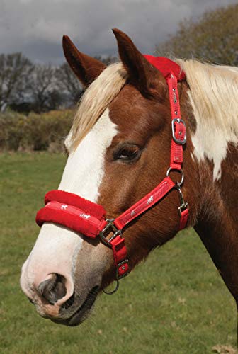 Rhinegold Unisex-Erwachsene Logo Headcollar Fleece Trim-Shetland-Red Halfter, rot von Rhinegold