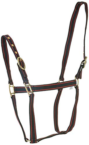 Rhinegold 0 Nylon Headcollar-Pony-Black/Red Halfter, schwarz/rot Rhinegold 0 Nylon Headcollar-Pony-Black/Red Halfter, schwarz/rot von Rhinegold