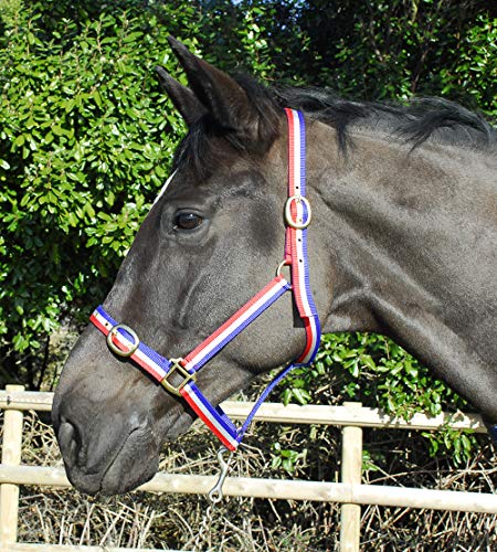 Rhinegold 0 Nylon Headcollar-Pony-Red/White/Blue Halfter, rot/weiß/blau von Rhinegold