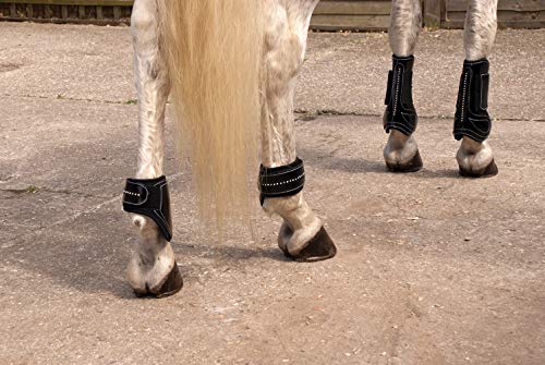 Rhinegold 30 DE Gamaschen und Streichkappen aus Lack/Kristall, cob-schwarz Rhinegold 30 DE Gamaschen und Streichkappen aus Lack/Kristall, cob-schwarz von Rhinegold