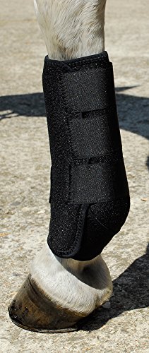 Rhinegold 0 Sports Medicine Boot Pair-Full-Black Medizinstiefel, Schwarz, Volle Größe Rhinegold 0 Sports Medicine Boot Pair-Full-Black Medizinstiefel, Schwarz, Volle Größe von Rhinegold