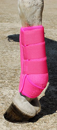 Rhinegold 0 Sports Medicine Boot Pair-Pony-Raspberry Medizinstiefel, Himbeere Rhinegold 0 Sports Medicine Boot Pair-Pony-Raspberry Medizinstiefel, Himbeere von Rhinegold