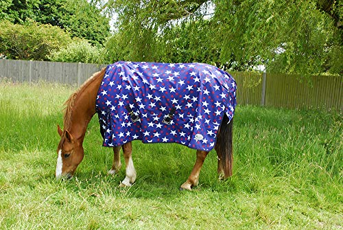 Rhinegold 0 Star Torrent Outdoor Rug-Lightweight No Fill Outdoorteppich, Stern-Design, 1,5 m Rhinegold 0 Star Torrent Outdoor Rug-Lightweight No Fill Outdoorteppich, Stern-Design, 1,5 m von Rhinegold