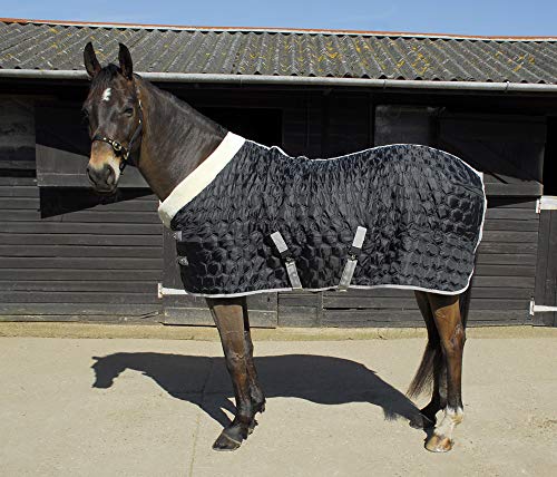 Rhinegold 666-6/3-blk Detroit Hexagon Stalldecke, Schwarz, 1,9 m Rhinegold 666-6/3-blk Detroit Hexagon Stalldecke, Schwarz, 1,9 m von Rhinegold
