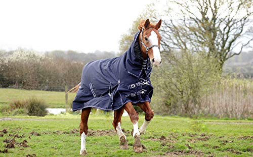 Rhinegold Arizona-Teppich, kompletter Hals, mittelschwer, 100 g/m², 0, Navy, 2 m Rhinegold Arizona-Teppich, kompletter Hals, mittelschwer, 100 g/m², 0, Navy, 2 m von Rhinegold