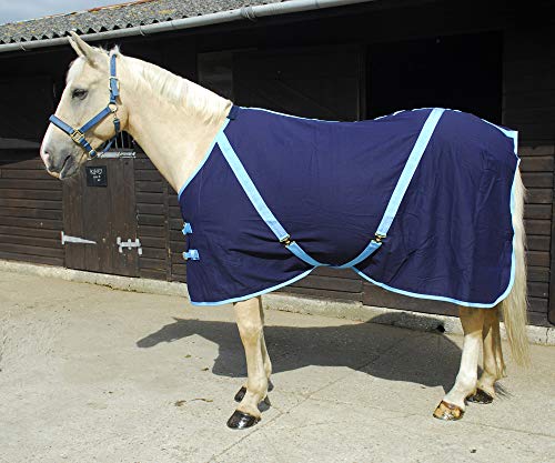 Rhinegold Bettlaken aus Baumwolle, 0, Navy Blue Bound Baby Blue, 1,9 m Rhinegold Bettlaken aus Baumwolle, 0, Navy Blue Bound Baby Blue, 1,9 m von Rhinegold