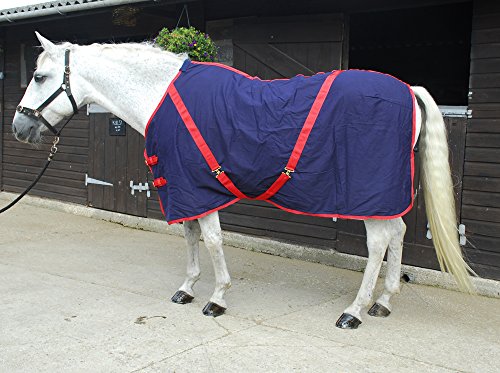Rhinegold Bettlaken aus Baumwolle, 0, Navy Blue Bound Red, 1,4 m Rhinegold Bettlaken aus Baumwolle, 0, Navy Blue Bound Red, 1,4 m von Rhinegold
