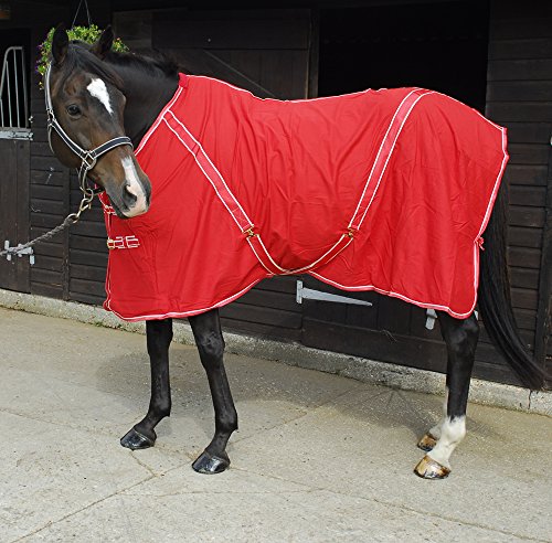 Rhinegold Bettlaken aus Baumwolle, 0, Red Bound White, 1,9 m Rhinegold Bettlaken aus Baumwolle, 0, Red Bound White, 1,9 m von Rhinegold