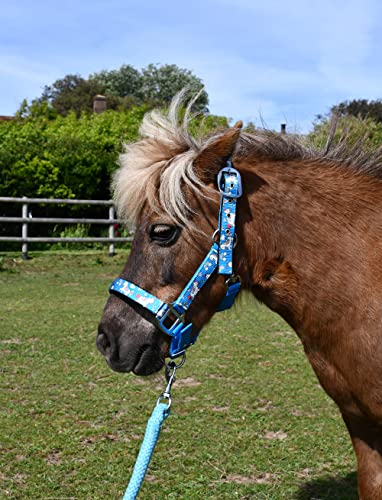 Rhinegold Einhorn Halfter und Seil Set, Pony, Türkis von Rhinegold