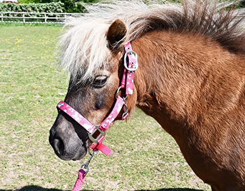 Rhinegold Einhorn-Halfter und Seil-Set – Shetland – Rasp, Himbeere Rhinegold Einhorn-Halfter und Seil-Set – Shetland – Rasp, Himbeere von Rhinegold