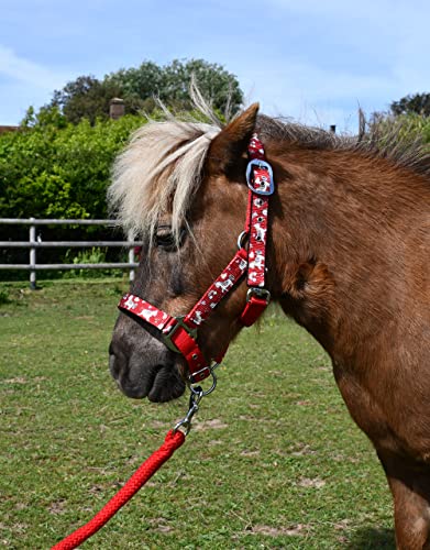 Rhinegold Einhorn Halfter und Seil Set – Shetland – Rot von Rhinegold