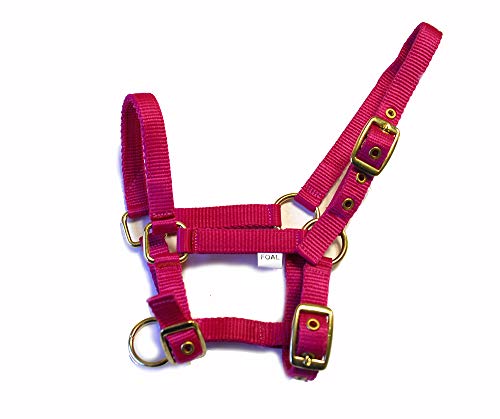 Rhinegold Halfter für Fohlen, Nylon, Himbeerfarben Rhinegold Halfter für Fohlen, Nylon, Himbeerfarben von Rhinegold