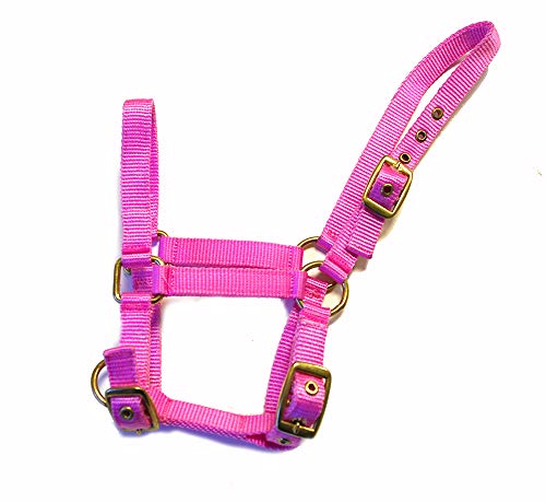 Rhinegold Halfter für Fohlen, Nylon, Pink Rhinegold Halfter für Fohlen, Nylon, Pink von Rhinegold