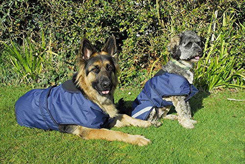 Rhinegold Highland Hundemantel, Größe L, 50 cm, Marineblau Rhinegold Highland Hundemantel, Größe L, 50 cm, Marineblau von Rhinegold