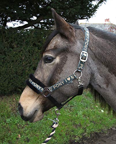 Rhinegold Love My Pony Halfter und Seil Rhinegold Love My Pony Halfter und Seil von Rhinegold