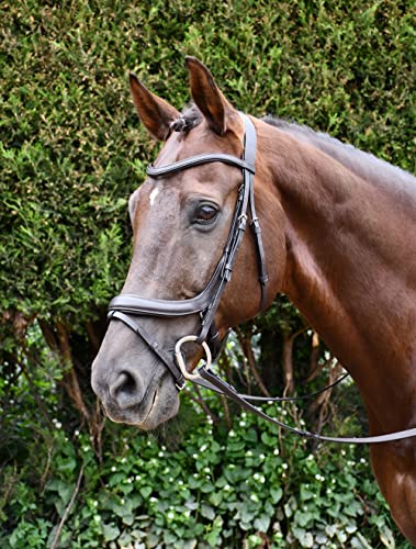 Rhinegold R176-xf-blk Pro-Anatomic Flash Trensenzaum, extra vollschwarz, Schwarz, Kaltblut/Warmblut extragroß Rhinegold R176-xf-blk Pro-Anatomic Flash Trensenzaum, extra vollschwarz, Schwarz, Kaltblut/Warmblut extragroß von Rhinegold
