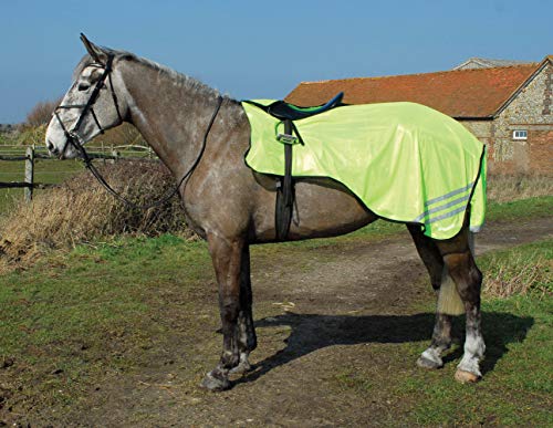 Rhinegold Reiter Rug Bright Yellow Cutaway Mesh Ride On Teppich Pony, gelb von Rhinegold