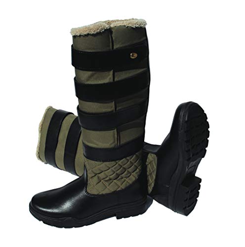 Rhinegold Riding Nevis Stiefel Rhinegold Riding Nevis Stiefel von Rhinegold