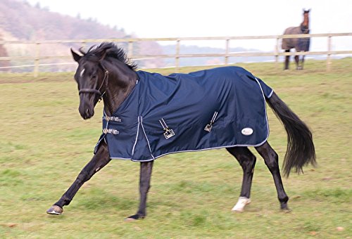 Rhinegold Torrent Outdoor-Teppich, leicht, ohne Füllung, Unisex, Navy, 1,4 m Rhinegold Torrent Outdoor-Teppich, leicht, ohne Füllung, Unisex, Navy, 1,4 m von Rhinegold